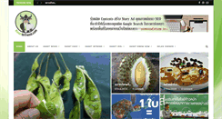 Desktop Screenshot of kasetintrend.com